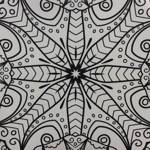 Meet your Posher, Kaylee